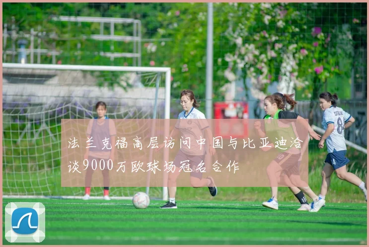 法兰克福高层访问中国与比亚迪洽谈9000万欧球场冠名合作