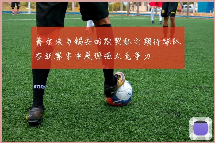 普尔谈与锡安的默契配合期待球队在新赛季中展现强大竞争力
