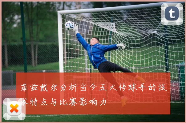 菲兹戴尔分析当今五大传球手的技术特点与比赛影响力