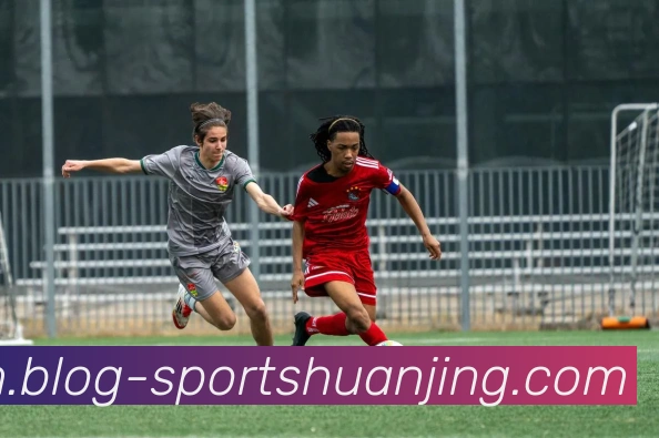 冠竞体育服务体系